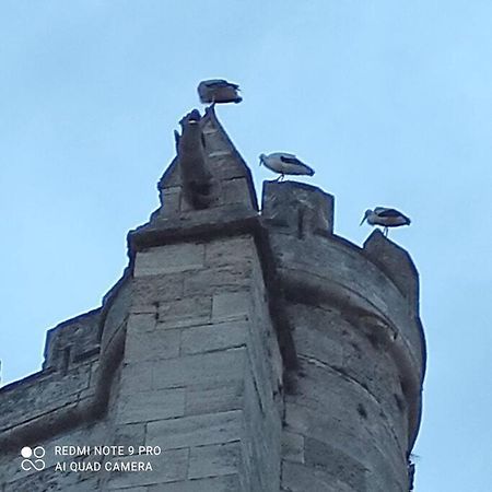 Appartamento Logis Corneille I Narbona Esterno foto
